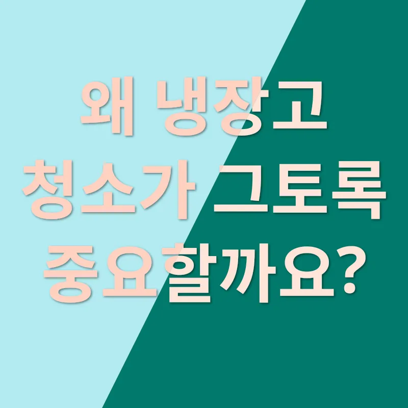냉장고 위생 관리_1
