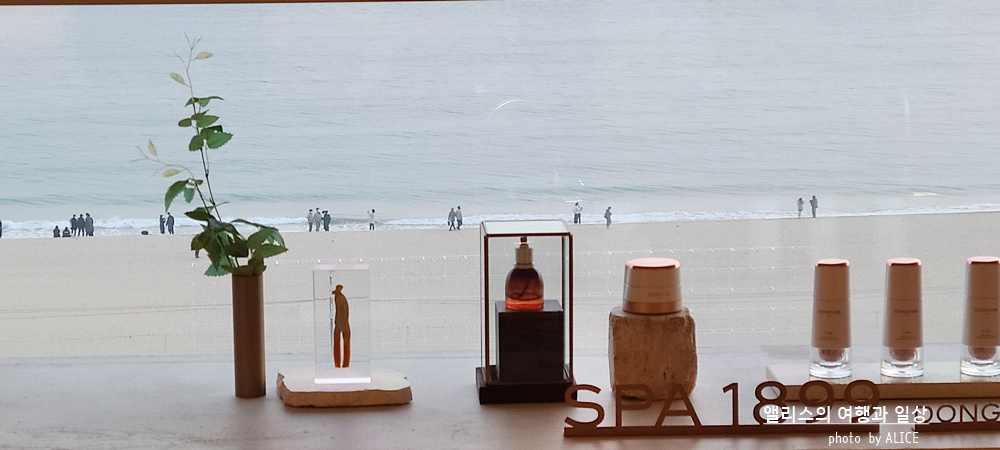 동인비 스파 1899 해운대점에서 전신마사지