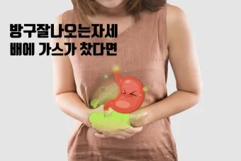 배에 가스가 차고 방귀를 자주 뀜 원인부터 해결책까지 한번에 알아보기_7