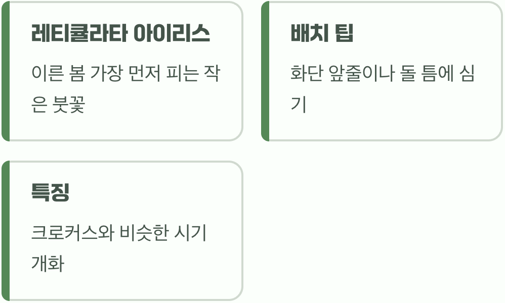 봄의 시작을 알리는 작은 보석