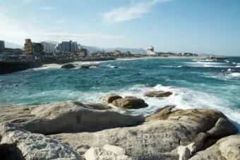 5월 동해 바다낚시 최고 추천 어종과 인기 포인트 완벽 총정리_23