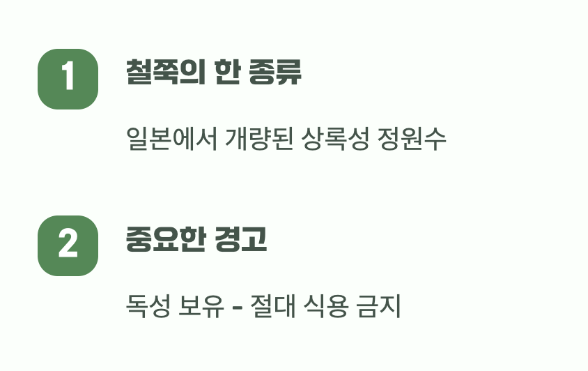 철쭉과의 특별한 관계