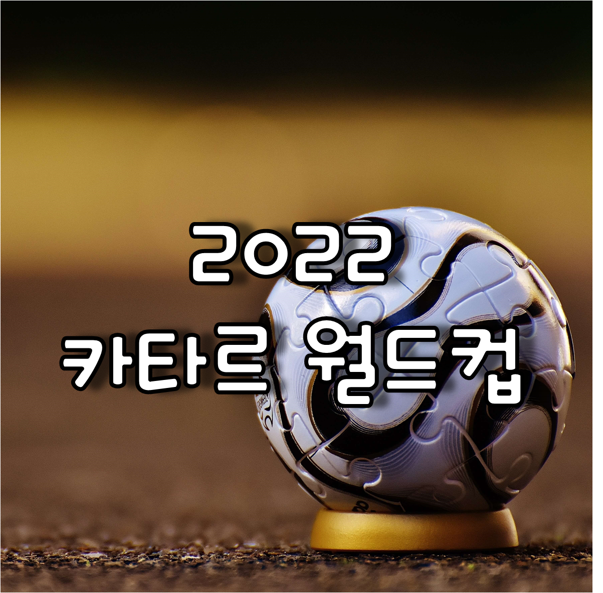 2022 카타르 월드컵