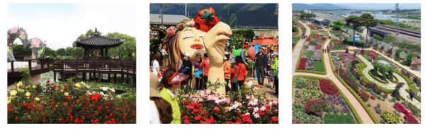 곡성 장미축제