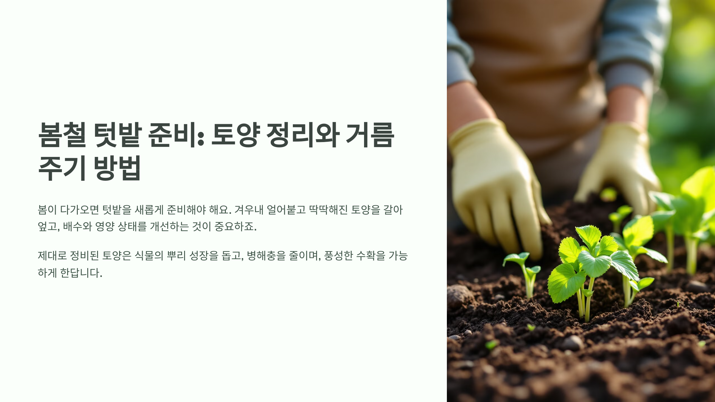봄철 텃밭 준비: 토양 정리와 거름 주기 방법