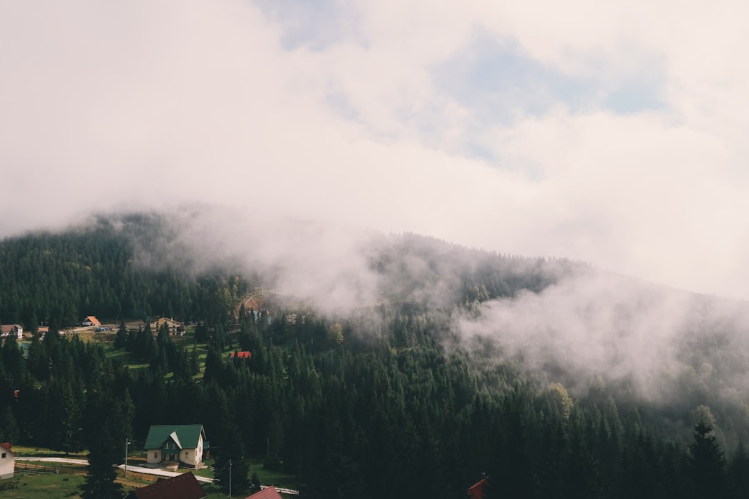 Land.