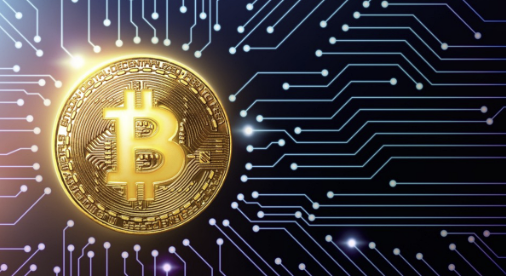 보인부담금-환급금