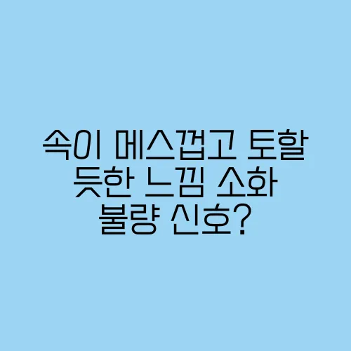 속이 메스껍고 토할 듯한 느낌 소화 불량 신호?