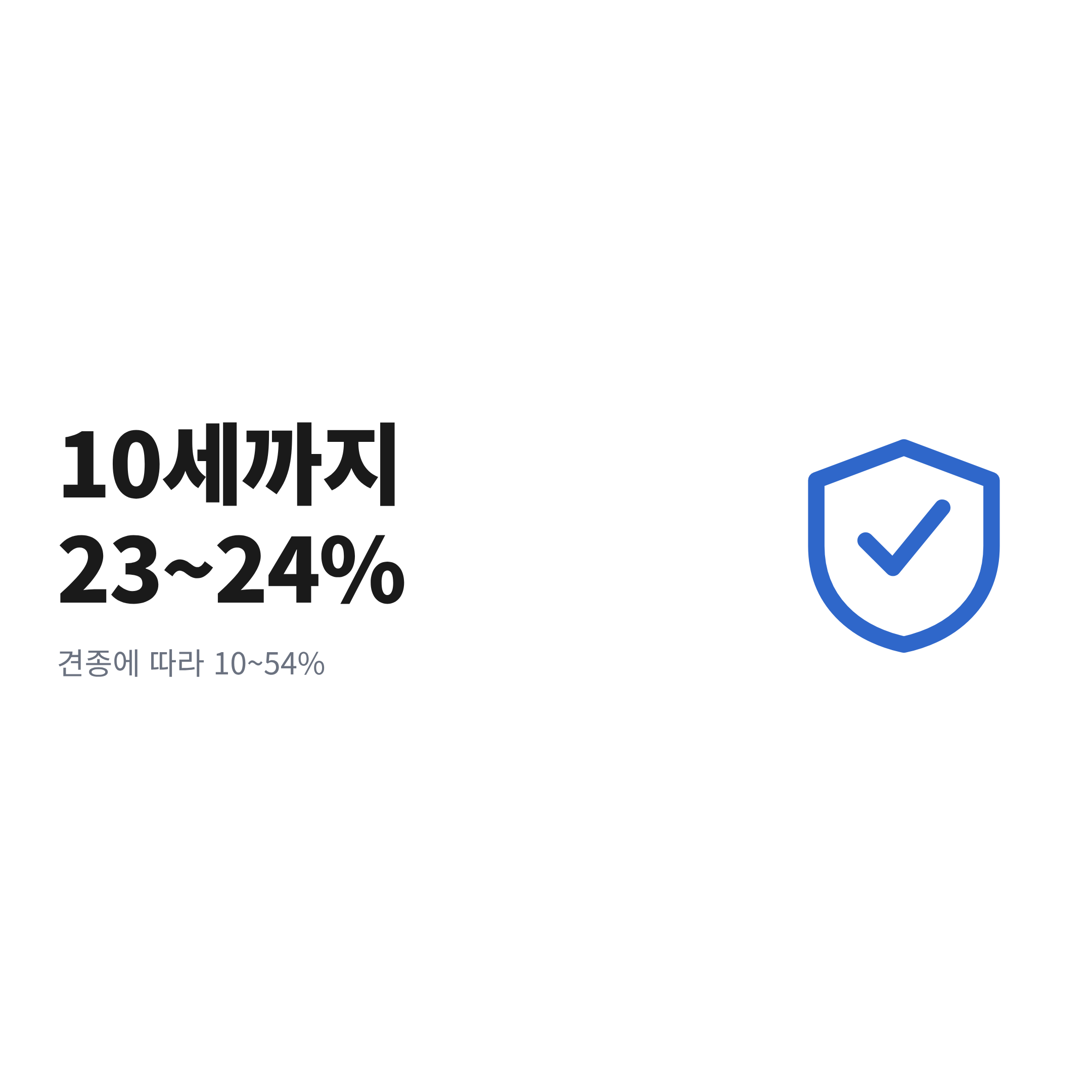 중성화하지 않은 암컷 강아지의 10세까지 자궁축농증 발생 위험을 보여주는 수치 카드