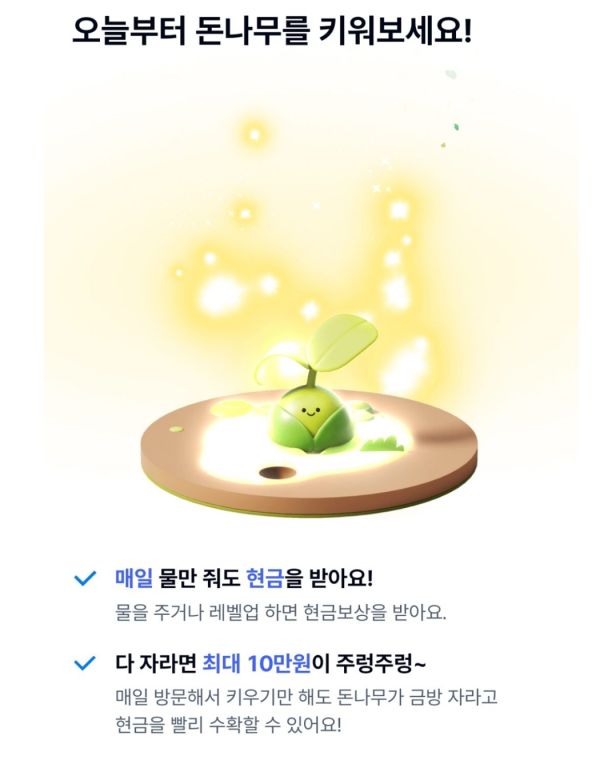 케이뱅크 돈나무키우기