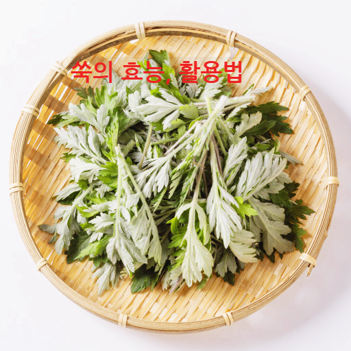 쑥, 제대로 파헤쳐보자: 효능, 활용법, 레시피, 주의사항 총정리