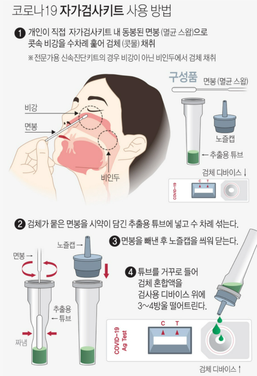약국 코로나 자가진단키트 양성 진단, 어떻게 해야 정확도가 높게 나올까