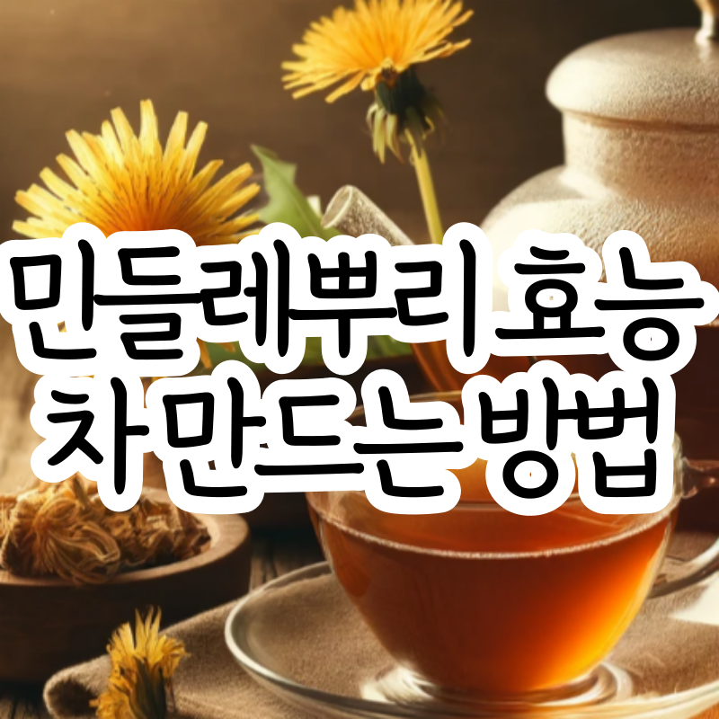 민들레 뿌리 효능 먹는 법 민들레 뿌리차 만들기