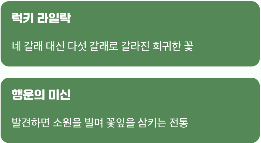 행운을 가져다주는 네 잎 클로버