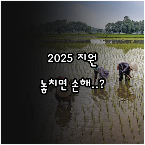 2025년 경상남도 쌀 농가 경영안정..