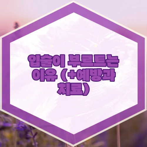 입술이 부르트는 이유 (+예방과 치료)