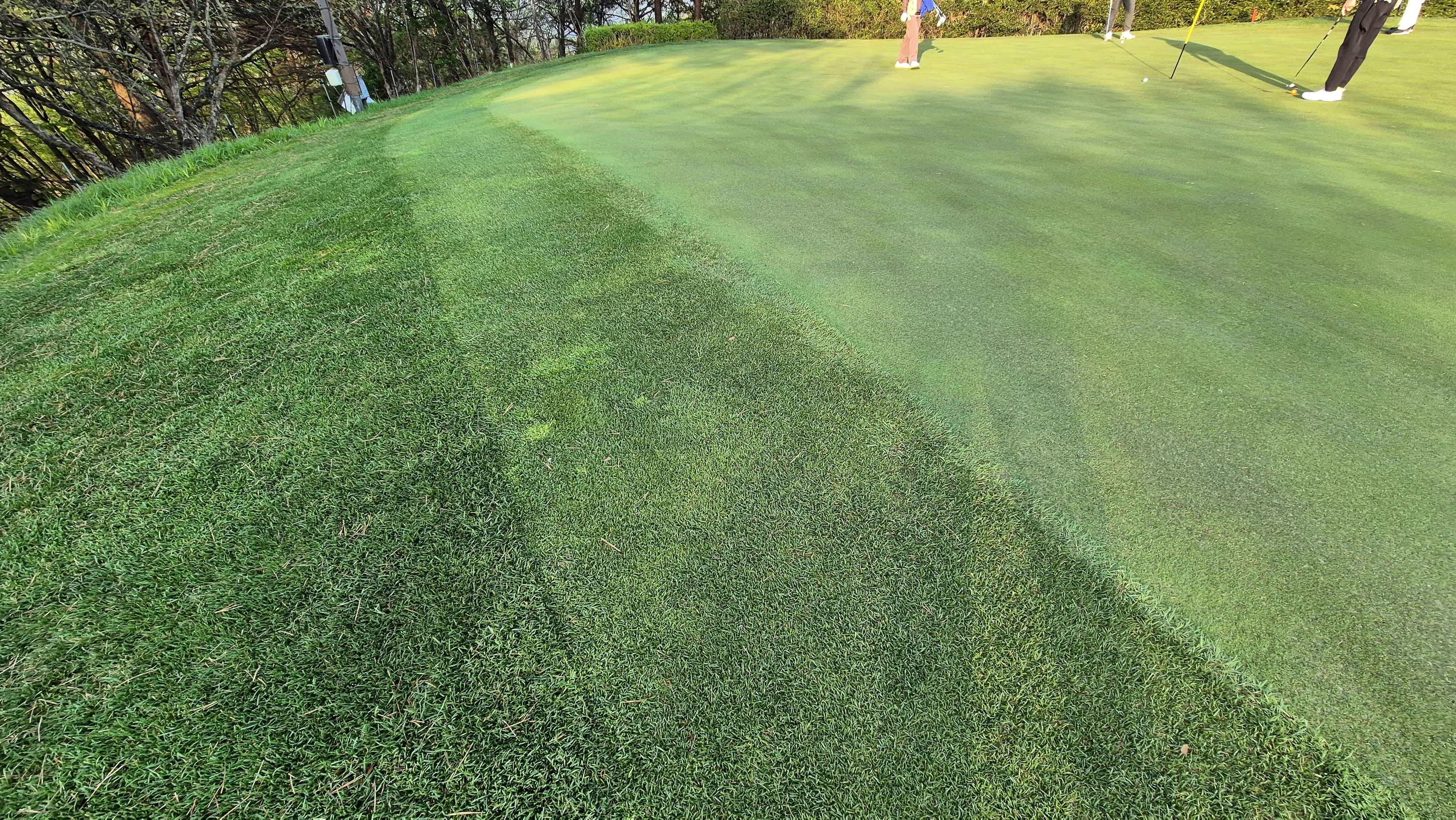 소노펠리체cc 비발디파크 웨스트