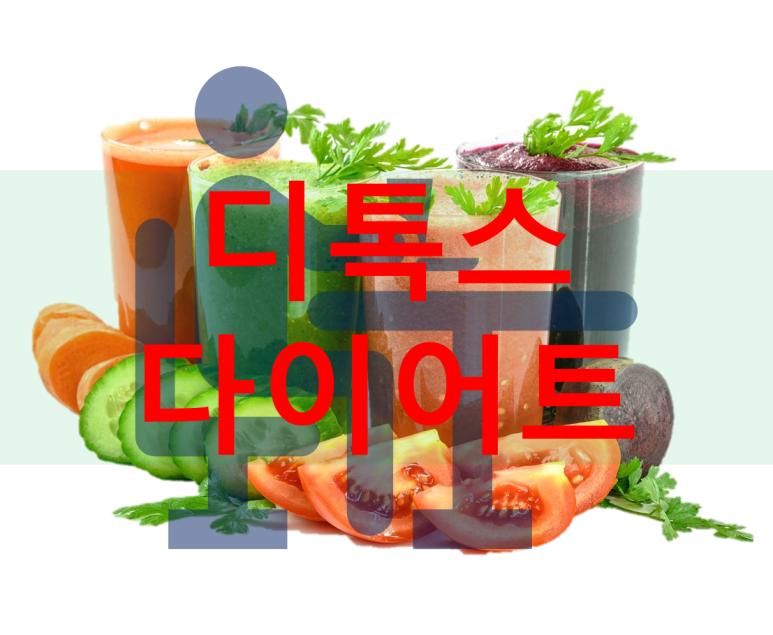 디톡스 다이어트