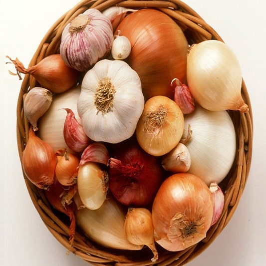 면역력 높이는 음식, 양파와 마늘