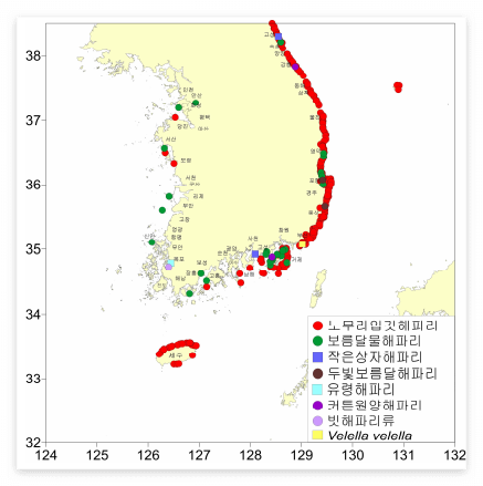 해파리 출현지역