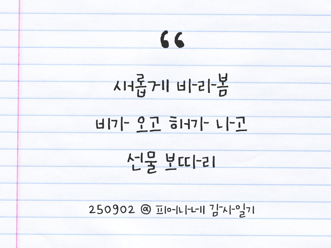 25년 9월 2일 오늘 내 마음 기록하기 감사노트, 감사를 통해 발견한 행복, 오늘 감사한 순간들 by 피어나네 감사일기