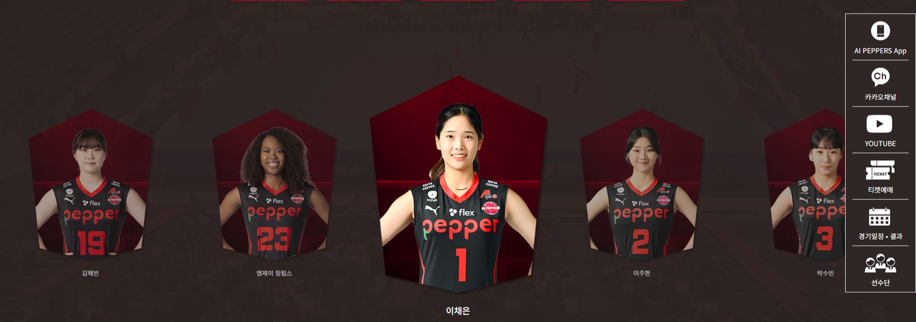 AI 페퍼스 여자 배구단 홈페이지 사진