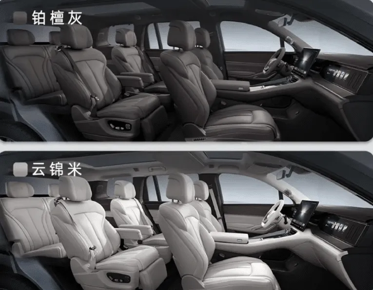 BYD 덴자 N9 이미지