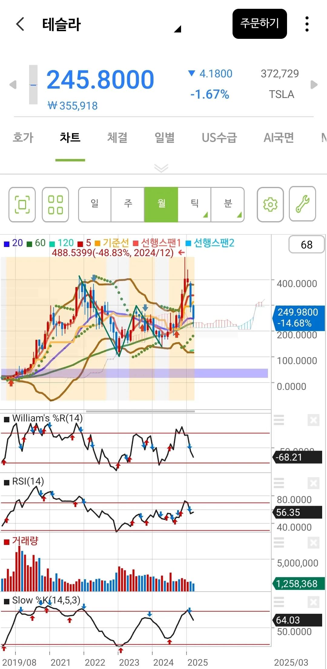 테슬라 월봉 차트