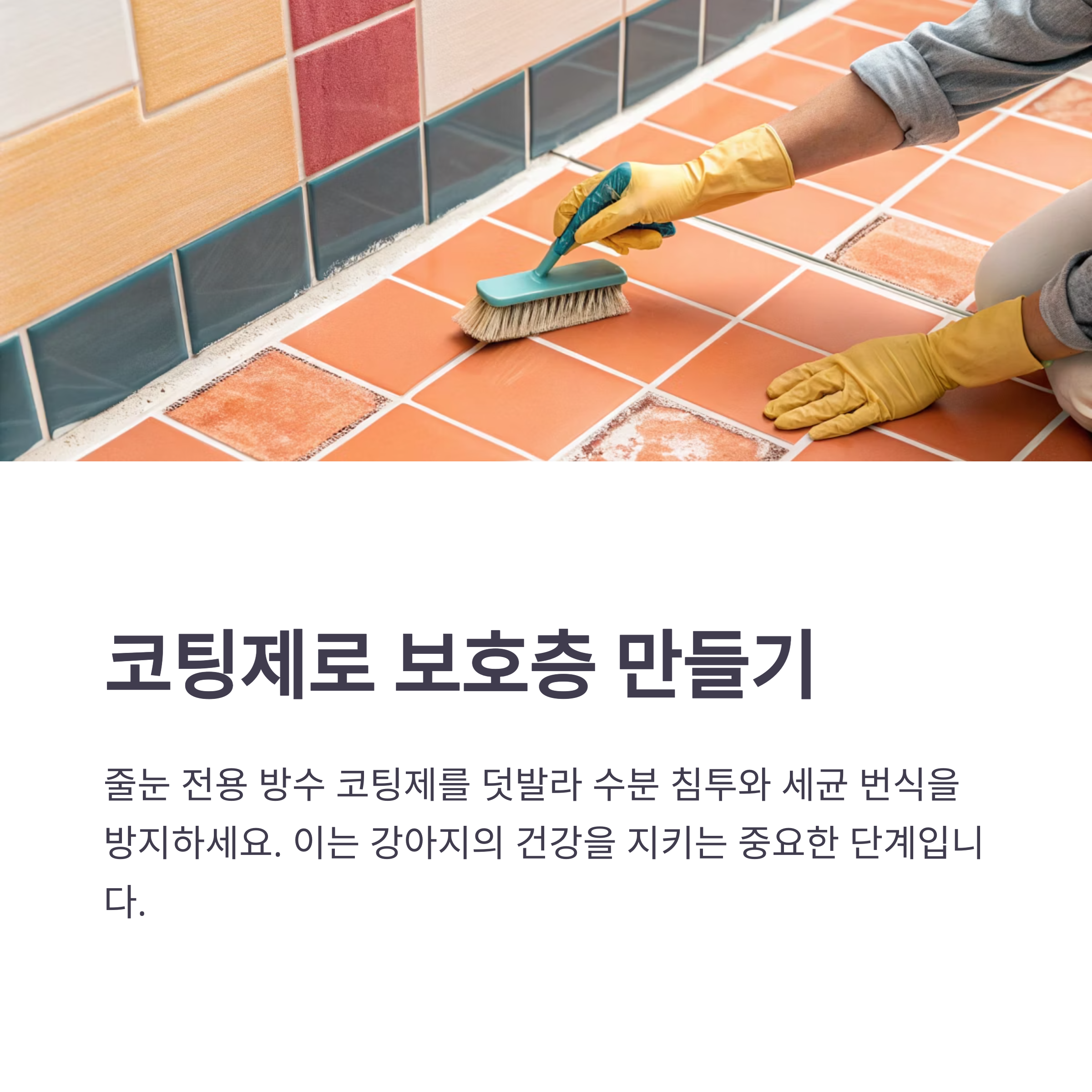 줄눈 곰팡이, 강아지 건강에도 해로울 수 있습니다