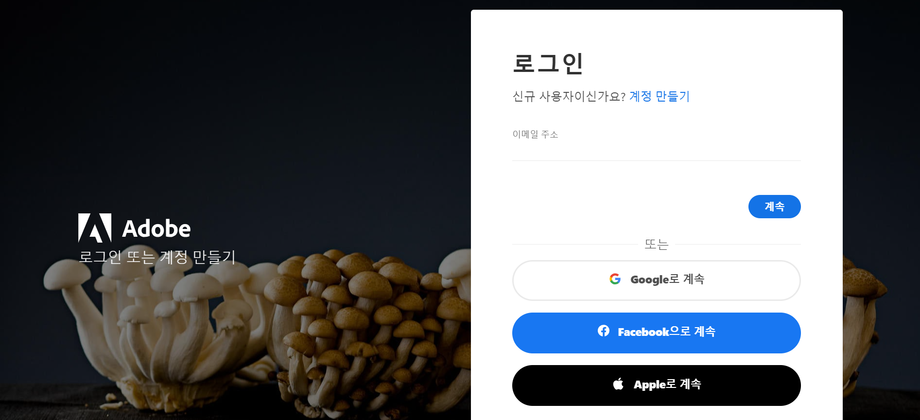 어도비 MOV MP4 변환