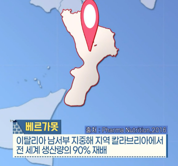 베르가못