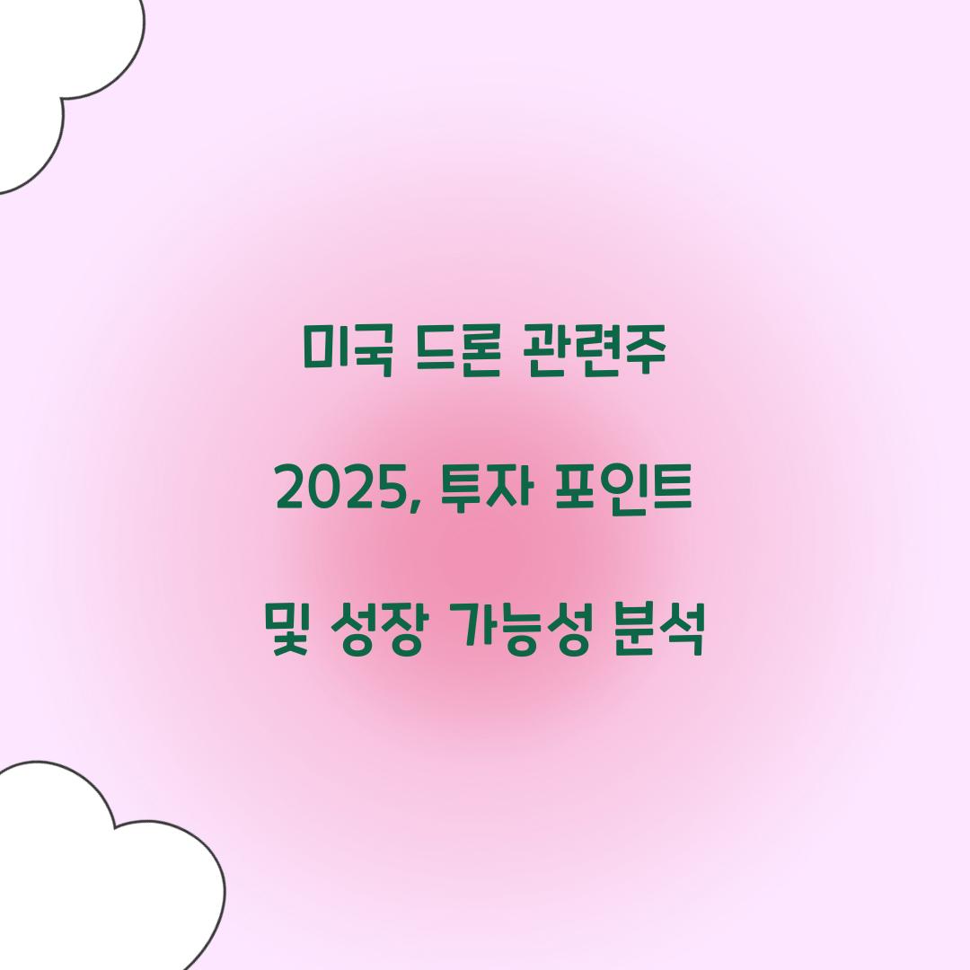 미국 드론 관련주 2025