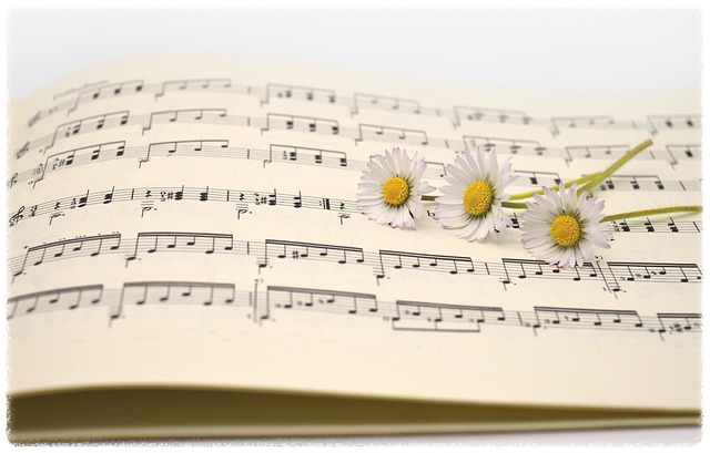 아이폰 벨소리 설정 안내