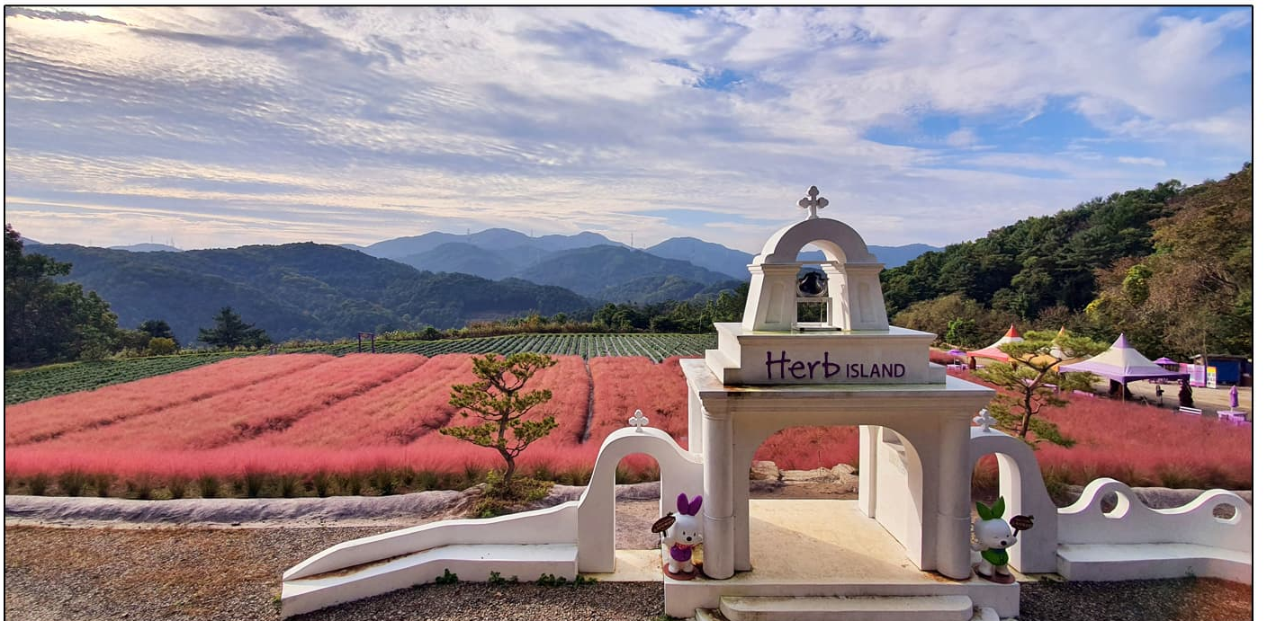 [반려견 동반, 서울 근교 여행지] 포천 허브아일랜드, 반려견과 함께 떠나는 사계절 힐링 여행