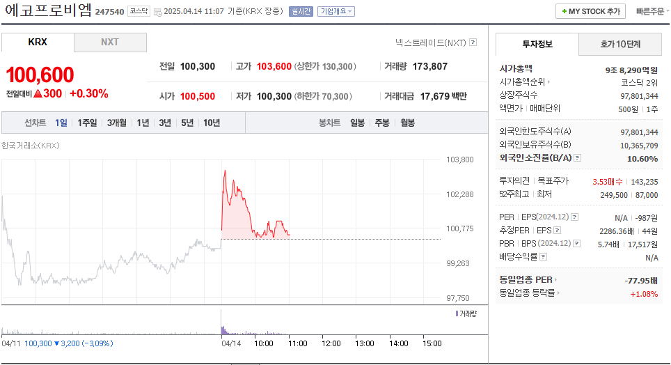 에코프로비엠 주가 주식 전망