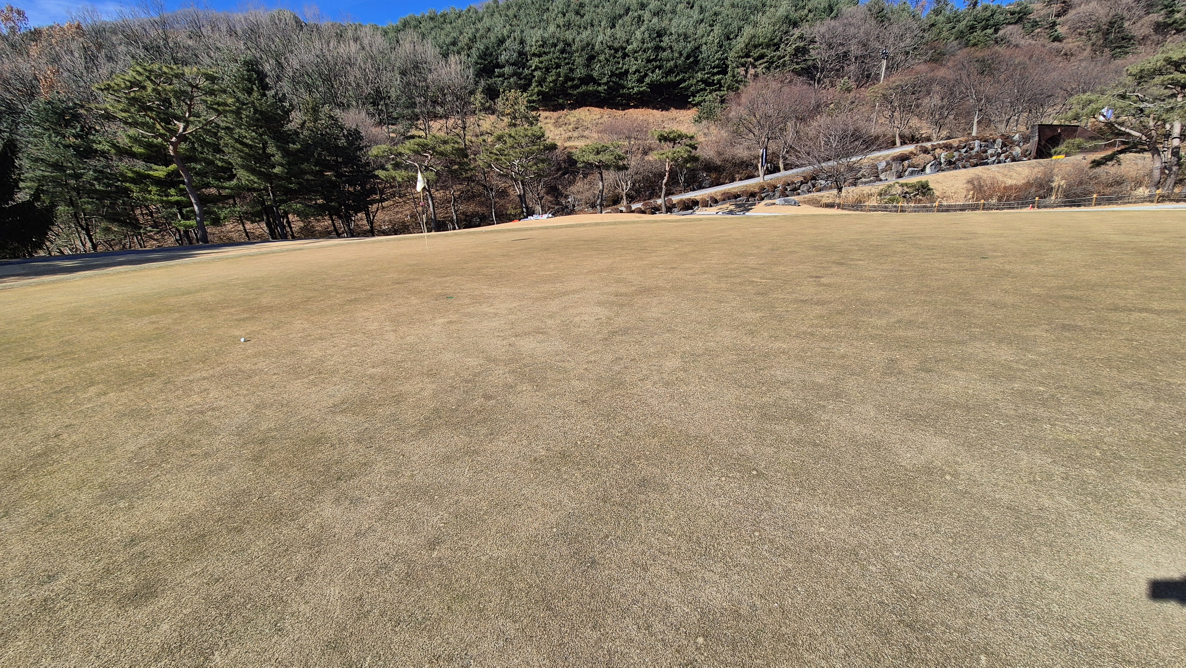 로제비앙gc 로제-비앙 코스 그린 관리 상태