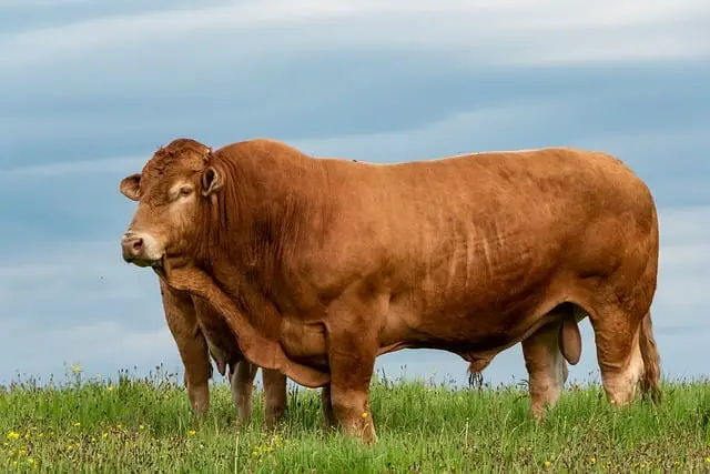 농어촌 기본소득 시범사업 지역 선정