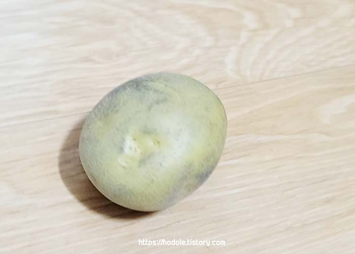 싹난 감자 먹는법