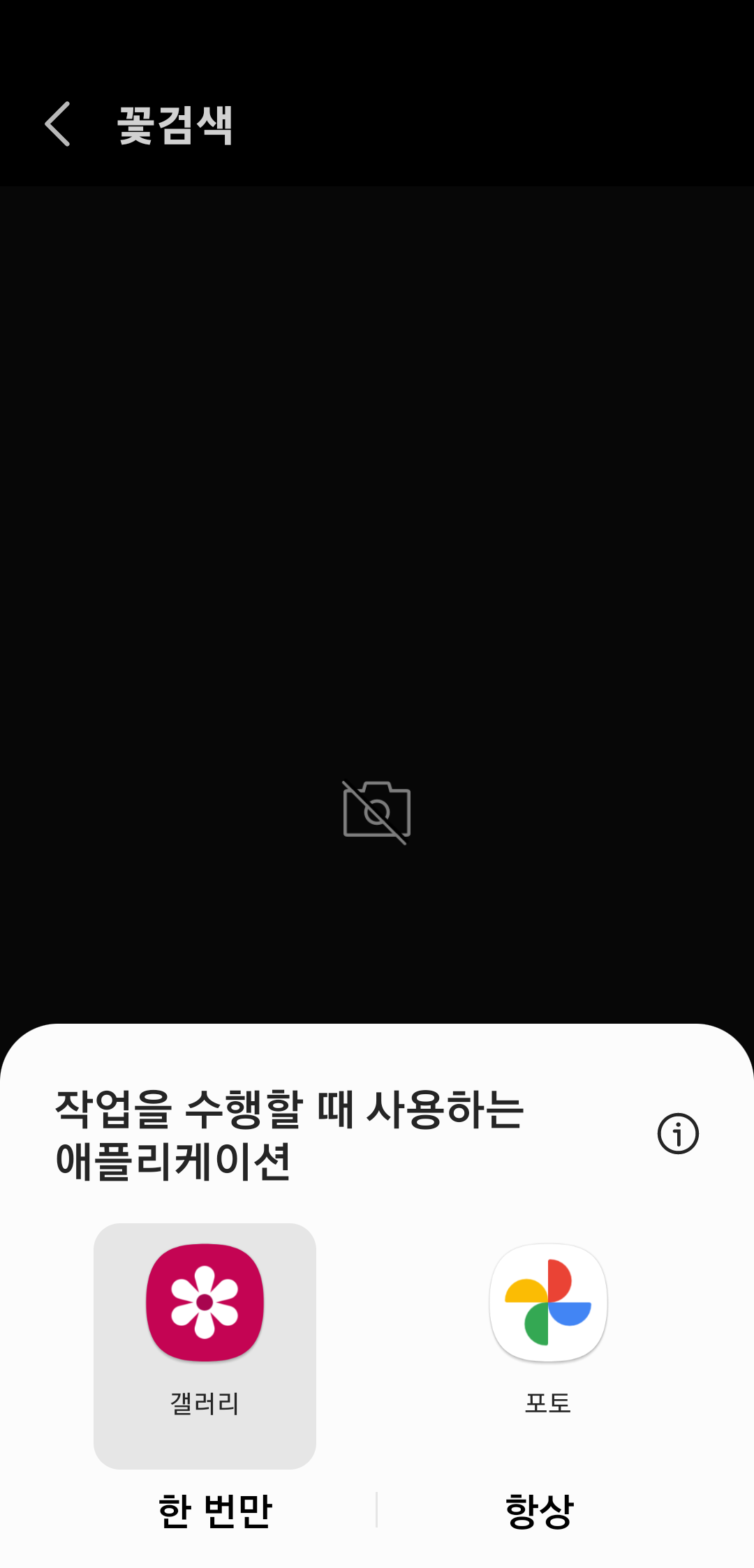 꽃 검색 갤러리