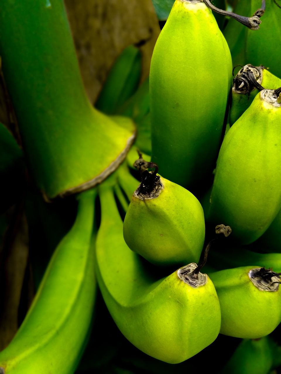 겨울 감정기복을 낮추는 영양 성분과 음식