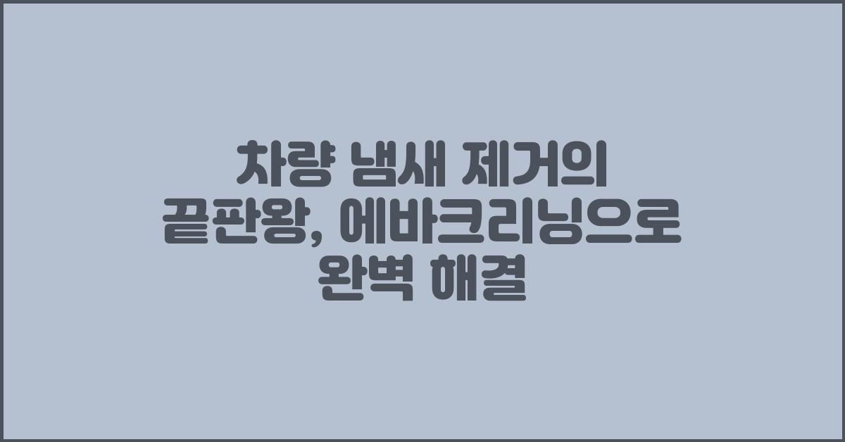 차량 냄새 제거의 끝판왕: 에바크리닝 탈취