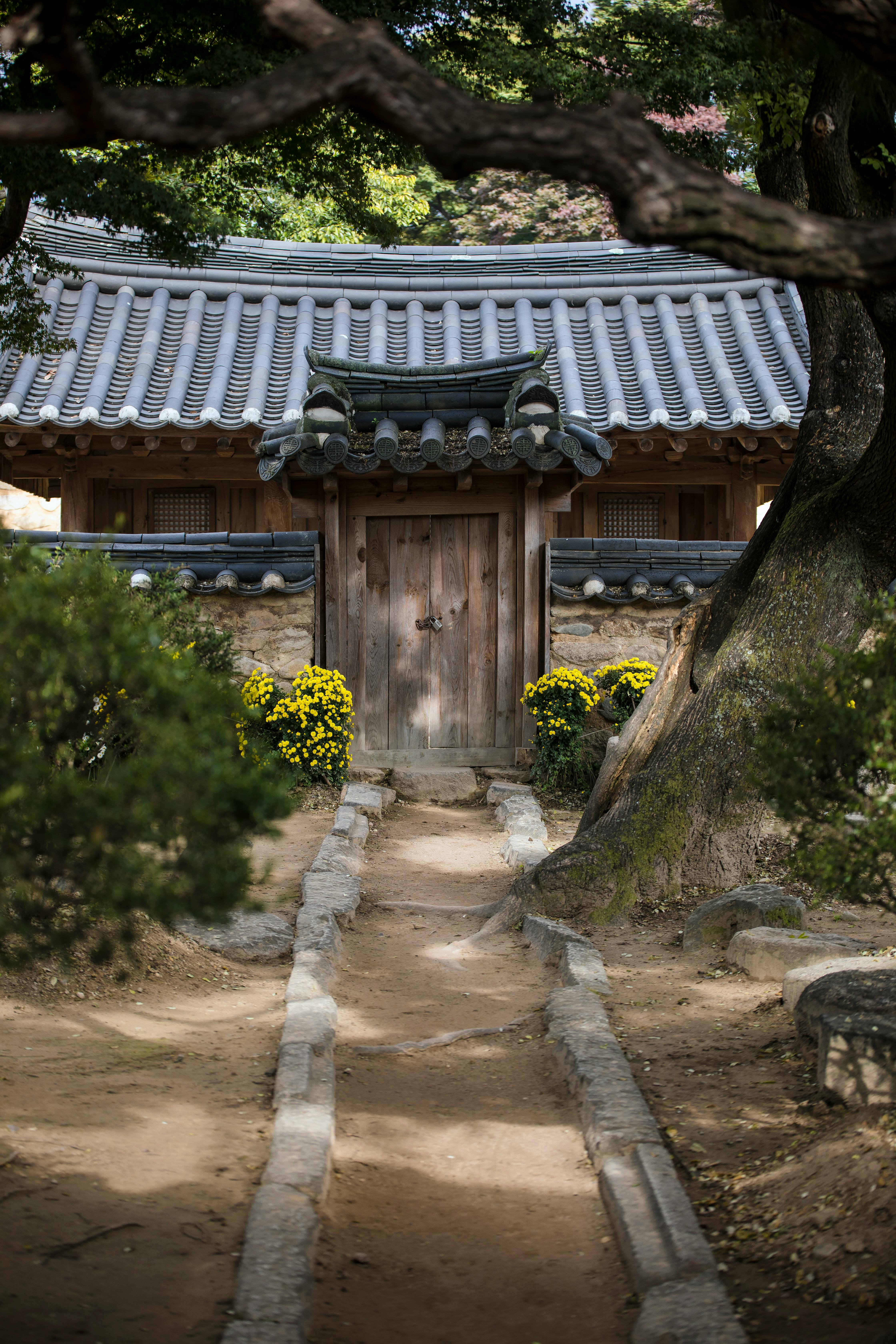 꽃이 있는 한옥