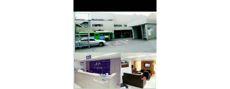 서울 도봉구 블루핸즈