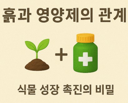 흙과 영양제의 관계: 식물 성장 촉진의 비밀 사진