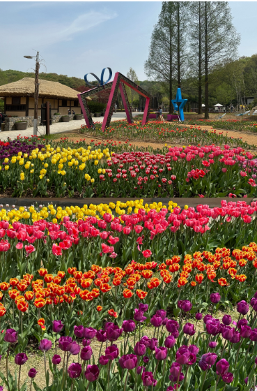 부천 장미축제 날짜 주차장