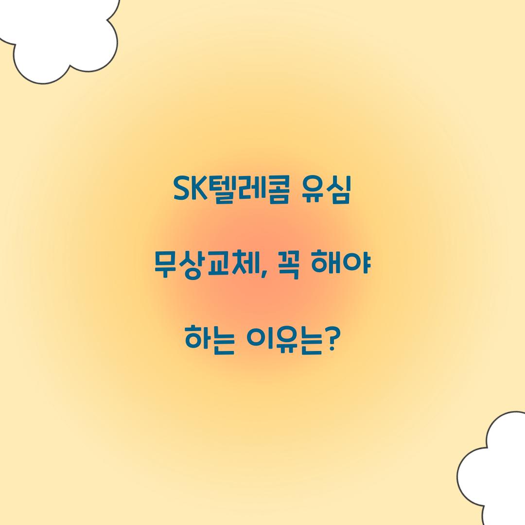 sk텔레콤 유심 무상교체