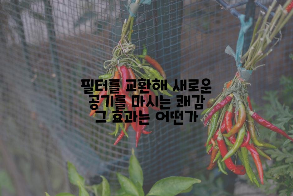 필터를 교환해 새로운 공기를 마시는 쾌감 그 효과는 어떤가