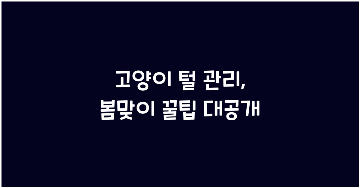 고양이 털 관리