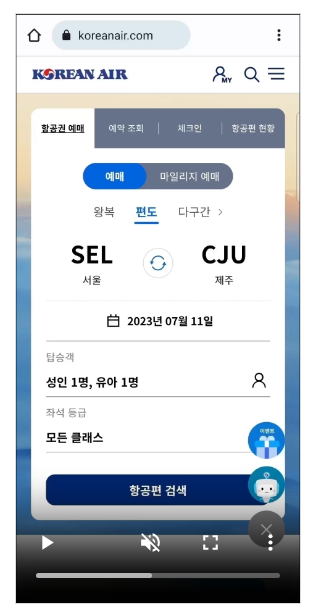 대한항공 좌석, 대한항공 좌석지정, 대한항공 좌석지정 방법, 대한항공 좌석지정 시간, 대한항공 좌석변경, 비상구 좌석, 대한항공 유료좌석 조회