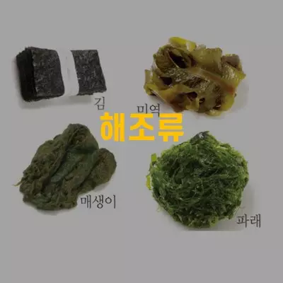 채소 및 해조류